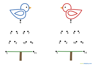 EDA PLAY - CONNECT THE DOTS AND COLOR: BIRDS AND SPRUCE